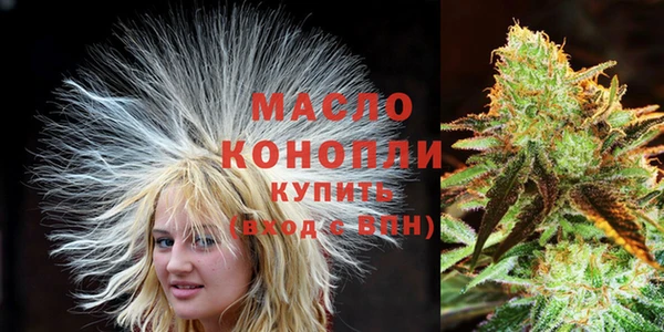мет Инта