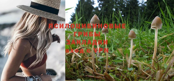 кокаин колумбия Каменногорск