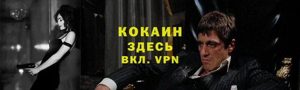 мет Инта