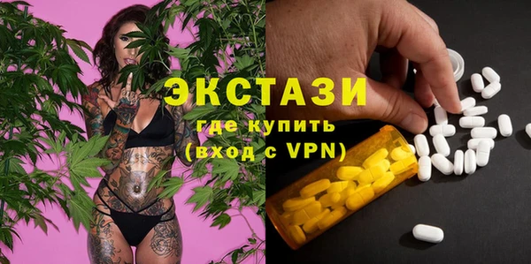 мет Инта