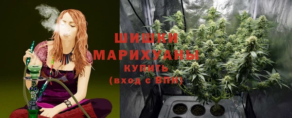 тгк Каменка