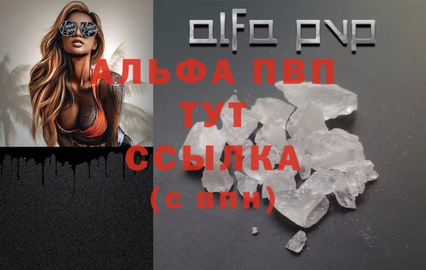 мет Инта