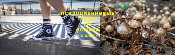 марки lsd Инсар