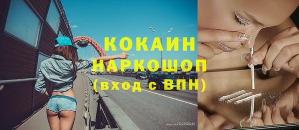 мет Инта