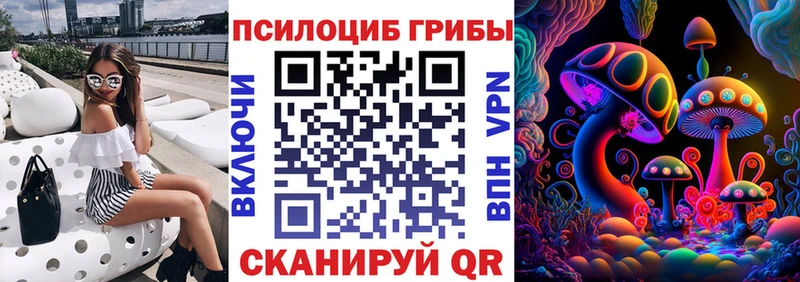 Галлюциногенные грибы прущие грибы  Купить закладки  Верхняя Пышма 